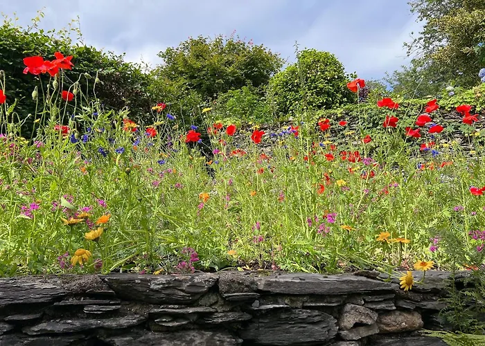 Orchard Mount Casa de Férias